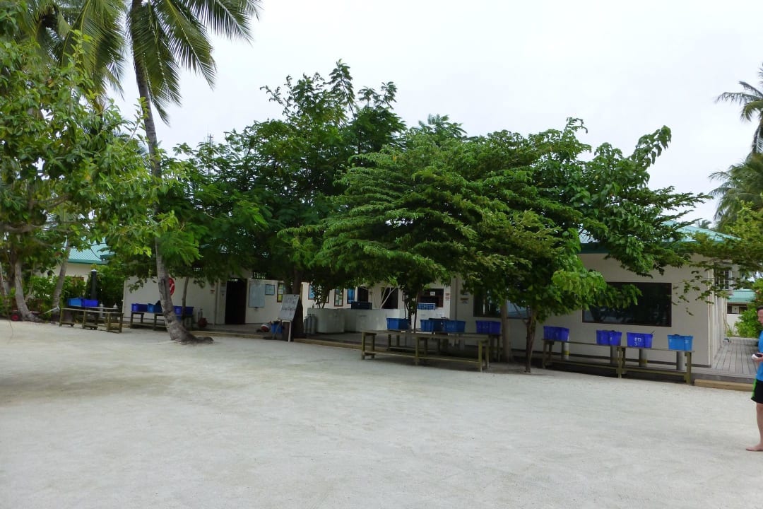 Tauchbasis Vilamendhoo Island Resort & Spa