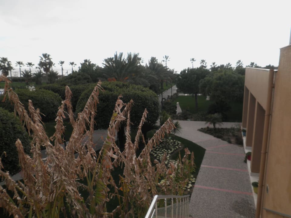 Weg von der Außenterrasse des Adult Restaurants  Voyage Belek Golf & Spa
