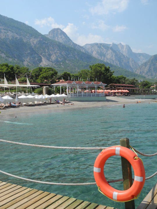 Ausblick  Crystal Flora Pearl Collection