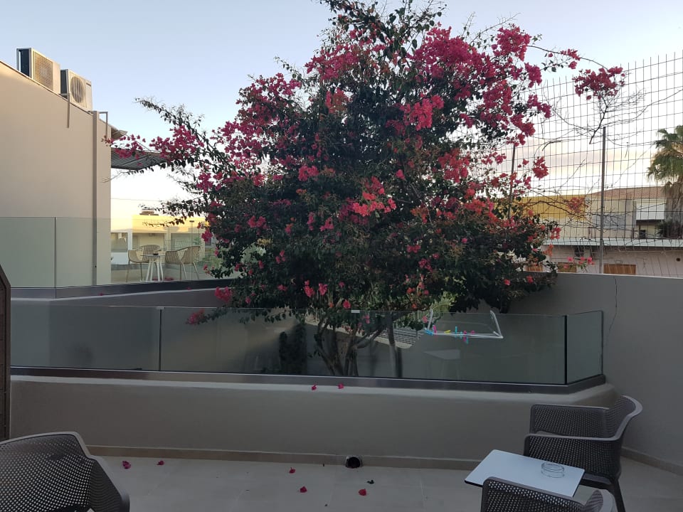 Zimmer Nefeli Hotel Rethymno
