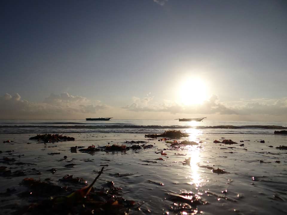 Strand Neptune Pwani Beach Resort & Spa