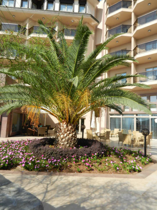 Xanadu  Xanadu Resort Hotel