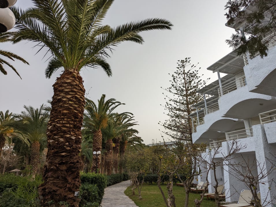 Außenansicht Apollonia Beach Resort & Spa