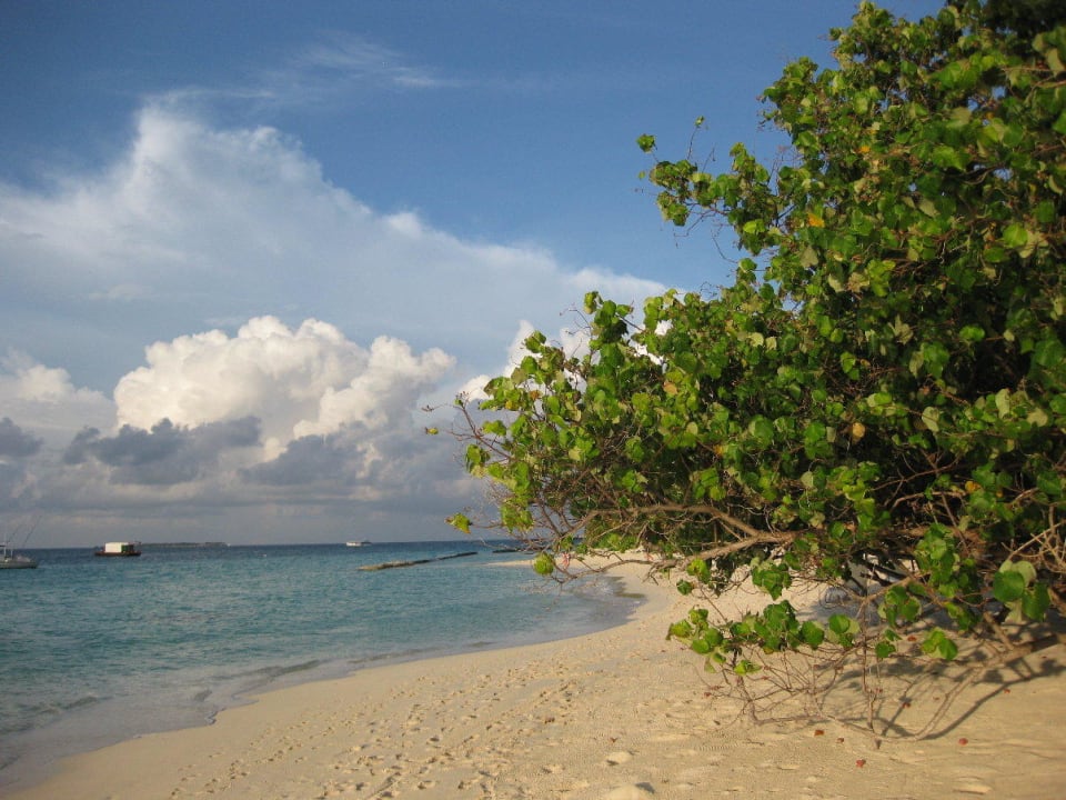Strand auf der Lagunenseite Kuramathi Maldives