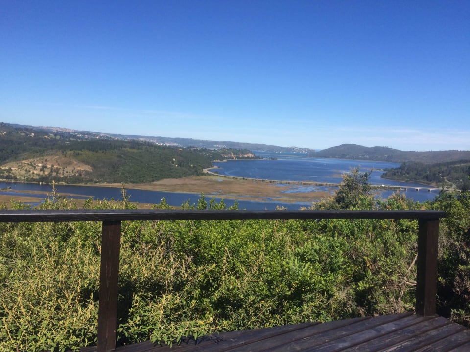 Aussicht beim Pool Hotel Phantom Forest Eco Reserve