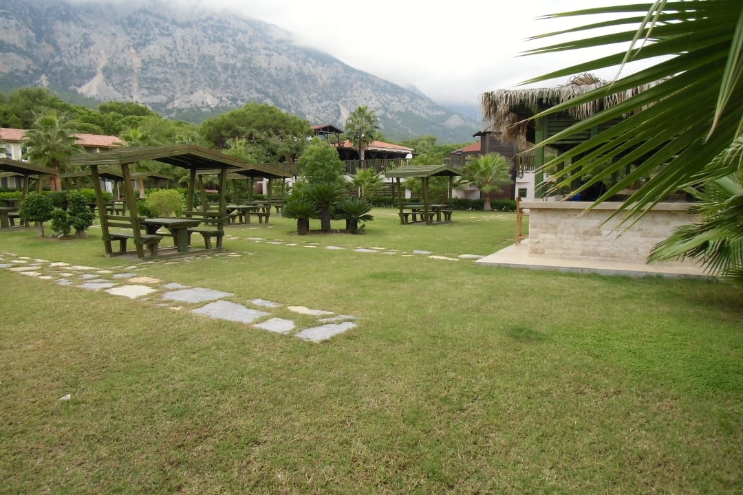 Cafe Turca Crystal Flora