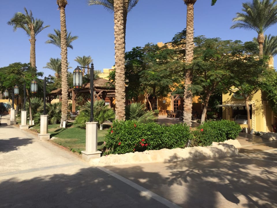 Gartenanlage Makadi Spa - Adults only