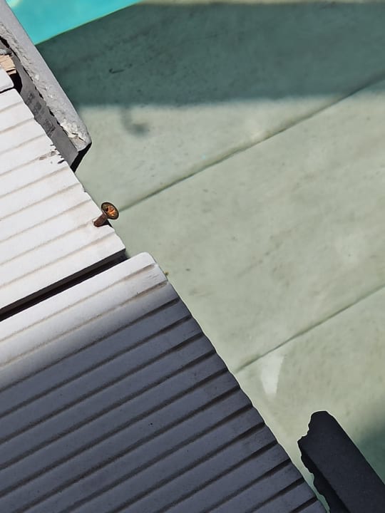 Zimmer Olive Grove Guesthouse