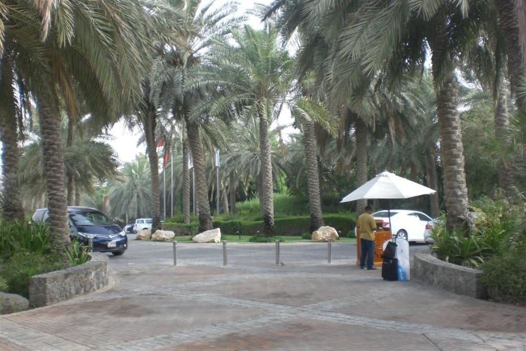 Vorfahrt JA Palm Tree Court