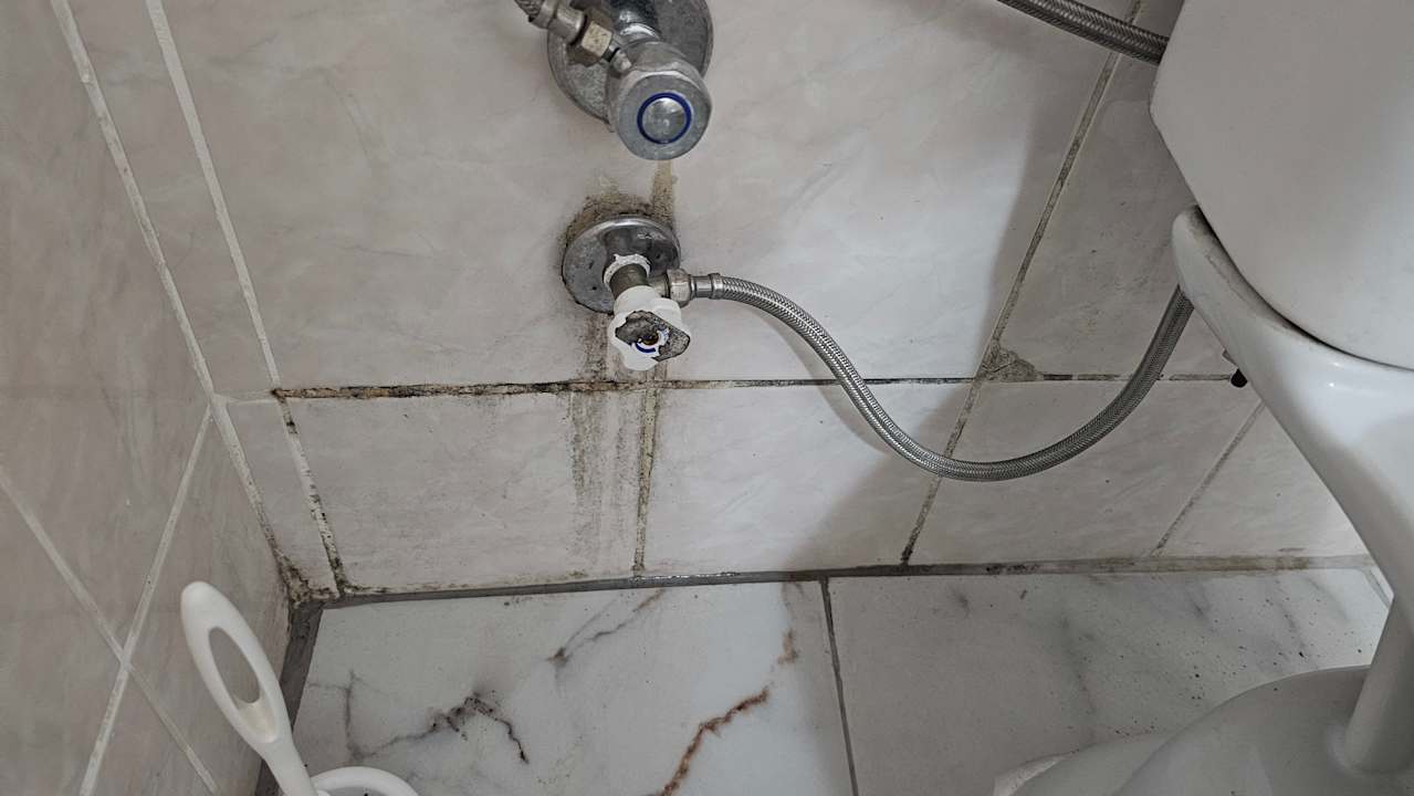 Zimmer Alexius Beach Hotel