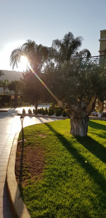 Gartenanlage Lindos Princess Beach Resort & Spa