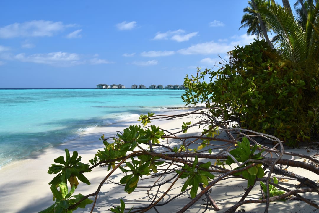 Strand NH Collection Maldives Havodda Resort