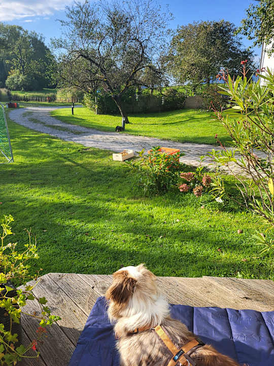 Gartenanlage Seimehof