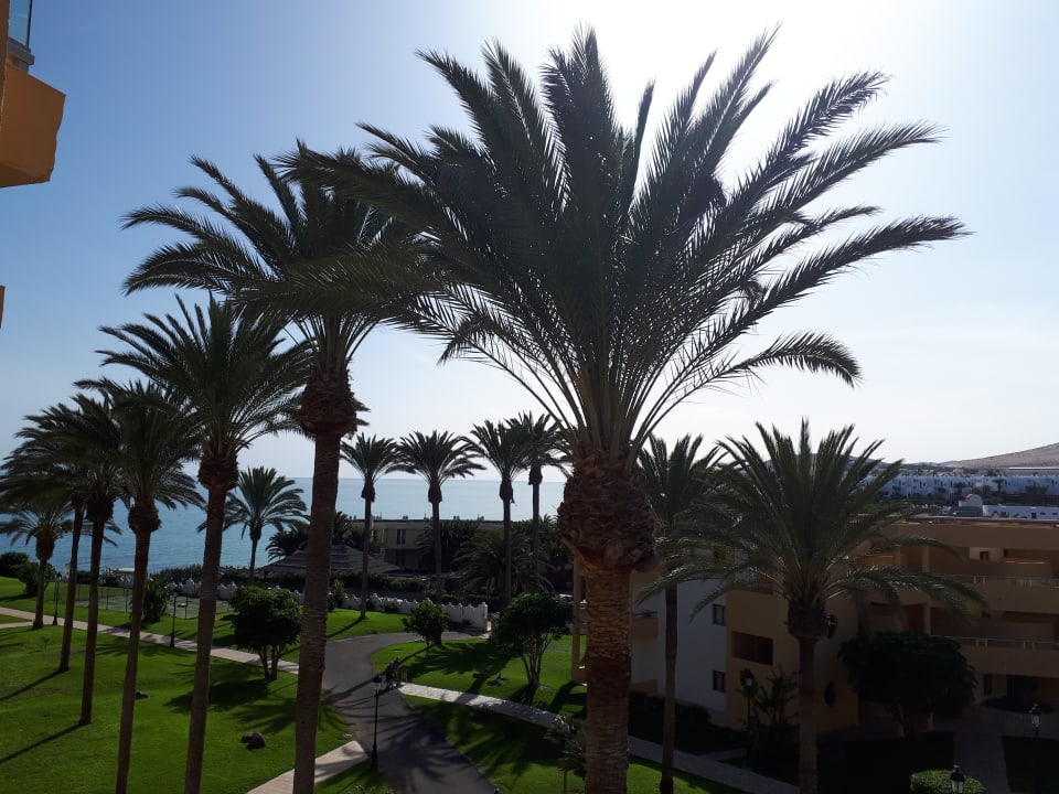 Ausblick SBH Costa Calma Beach Resort