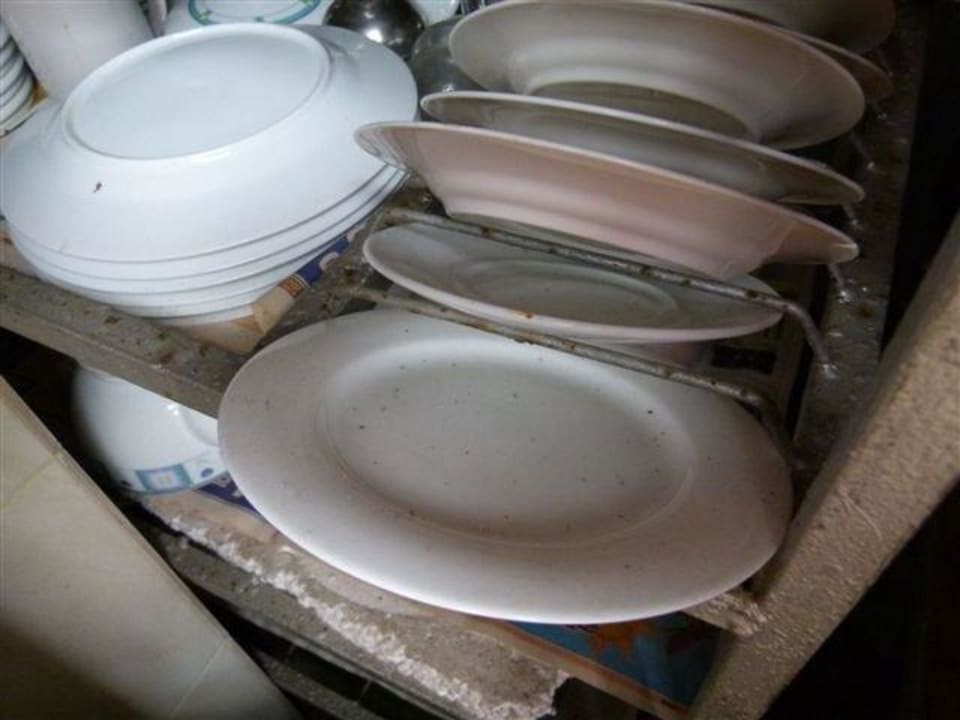 Verkeimtes Geschirr Surfing Resort Arugam Bay