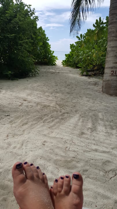 Ausblick Summer Island Maldives