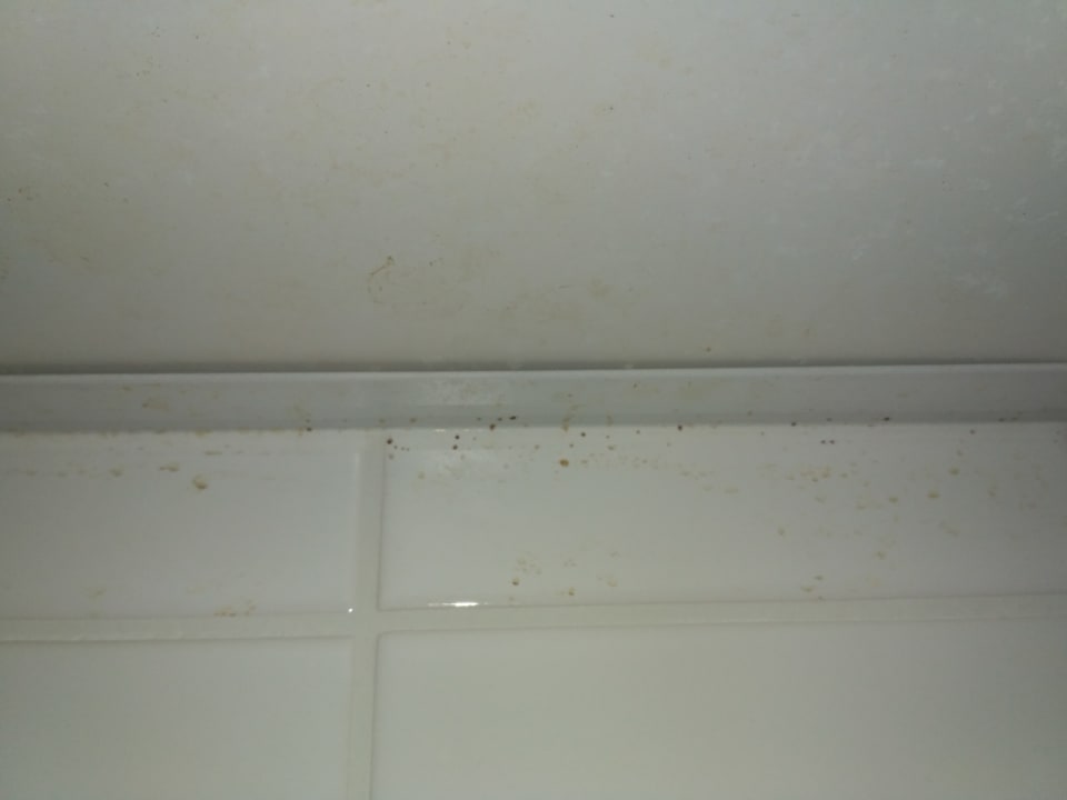 Zimmer IntercityHotel Schwerin