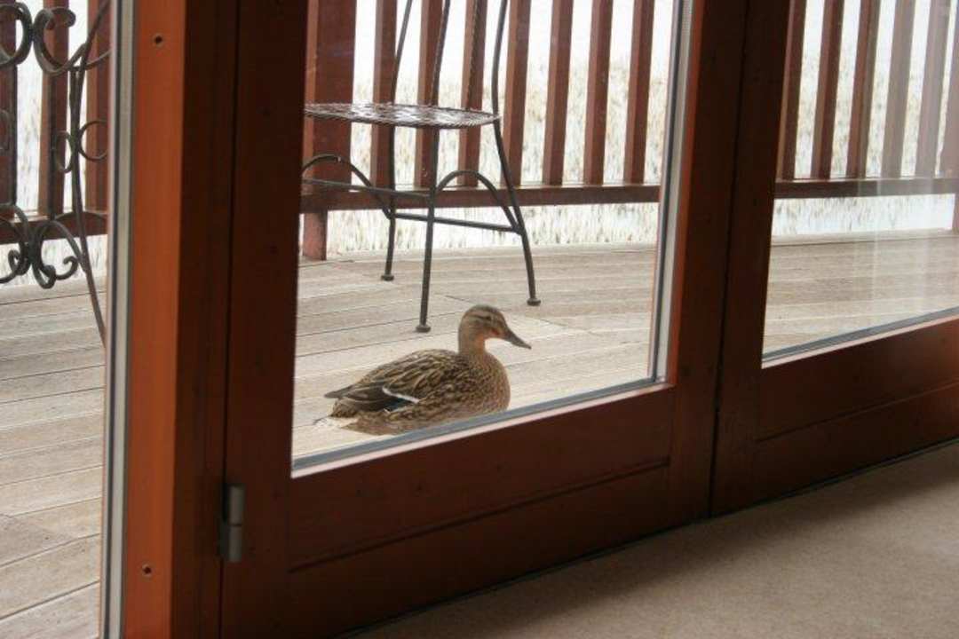 Gäste am frühen Morgen Hotel Wineport Lodge