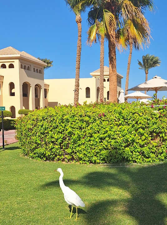 Gartenanlage Cleopatra Luxury Resort Makadi Bay