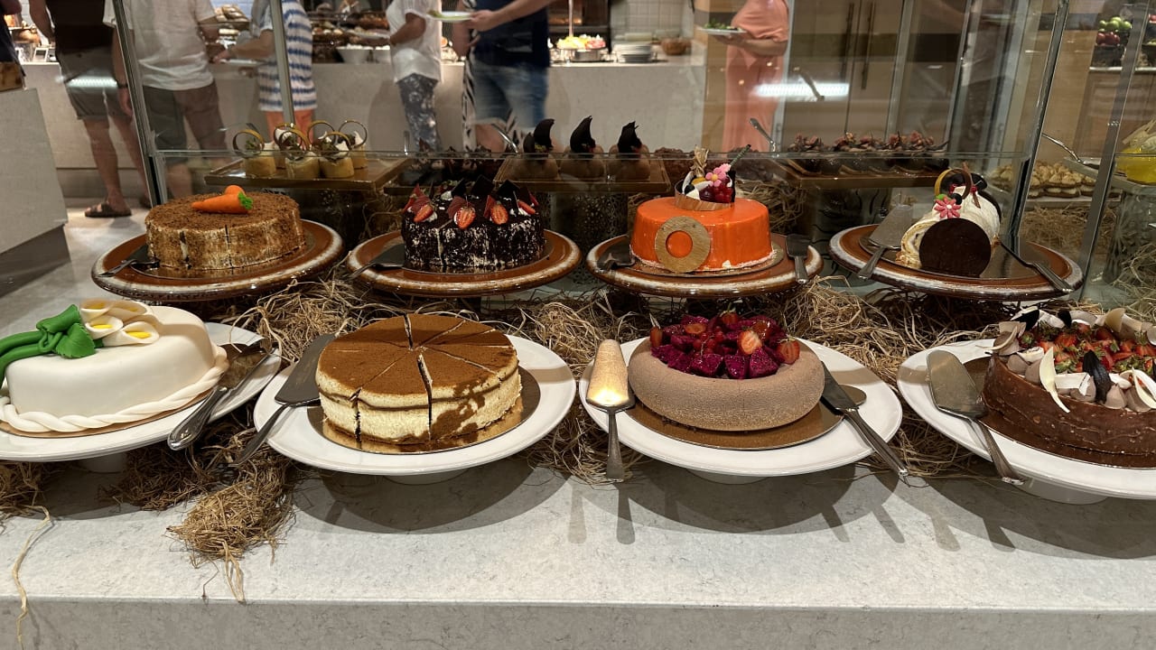 Gastro Acanthus Cennet Barut Collection