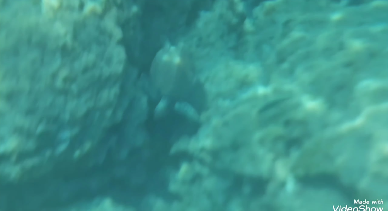 Strand Crystal Springs Beach Hotel