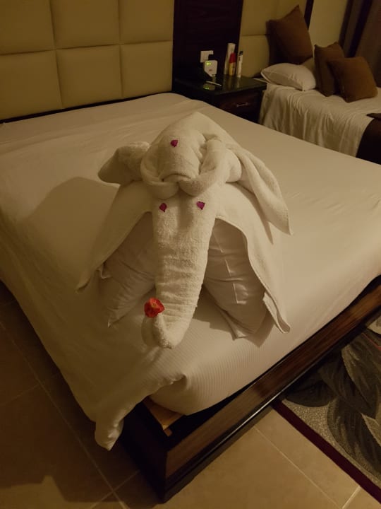 Süße Überraschung  Pickalbatros Aqua Blu Resort - Sharm El Sheikh