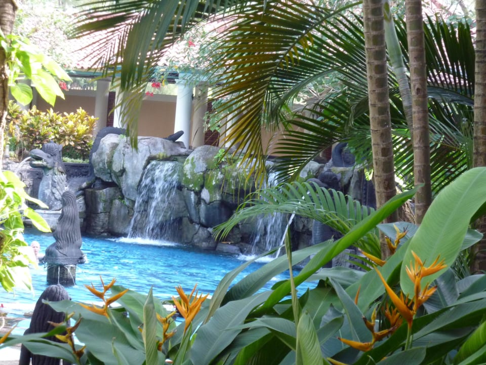 Blick auf den Pool Melia Purosani Yogyakarta
