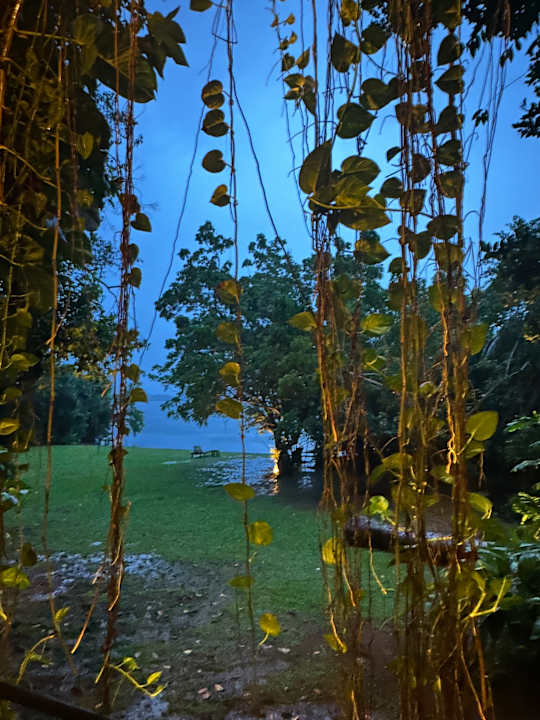 Gastro Roman Lake Ayurveda Resort
