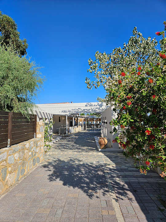 Gartenanlage Alea Hotel & Suites