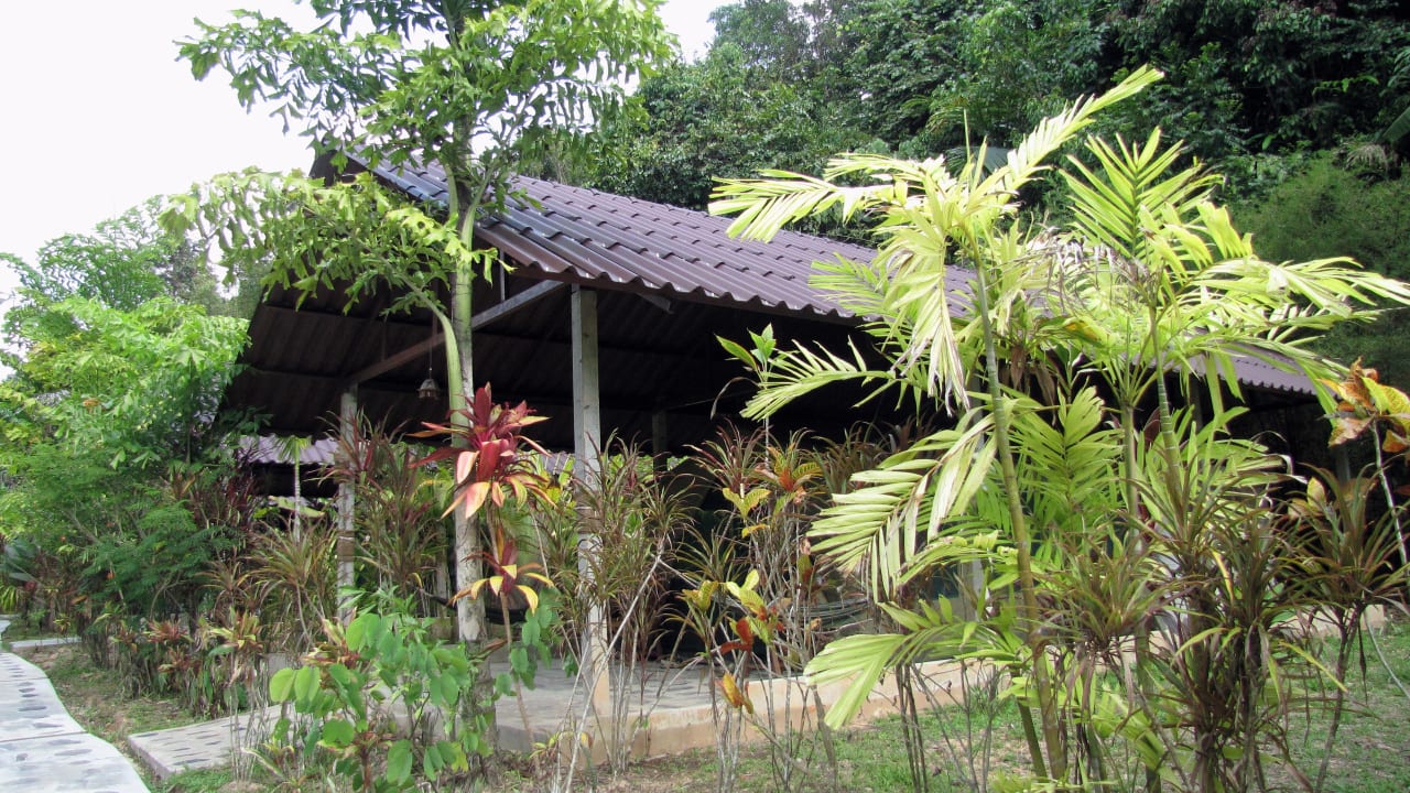 Tent No. 30 Elephant Hills