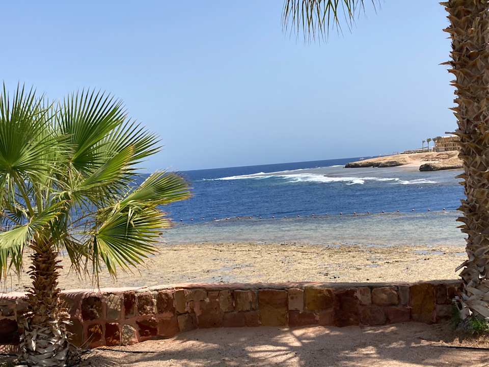 Außenansicht Steigenberger Coraya Beach - Adults only