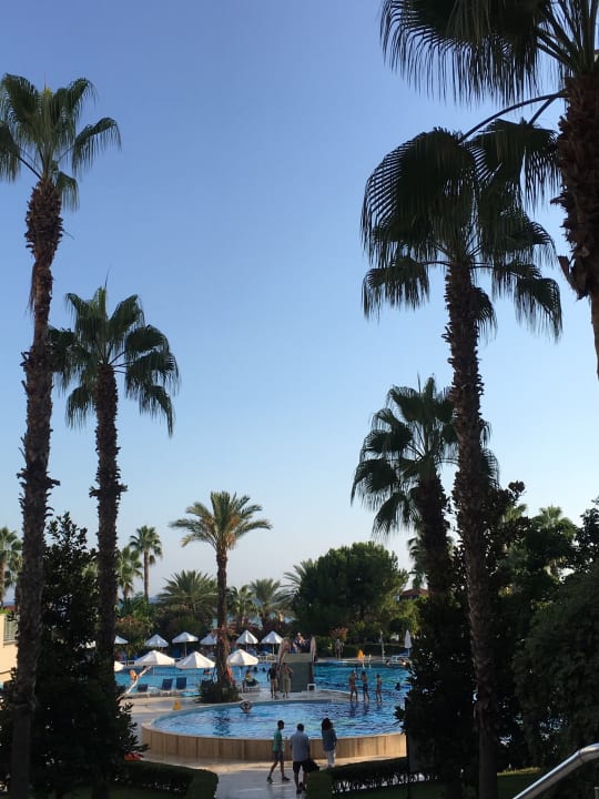 Pool Hotel Terrace Beach Resort