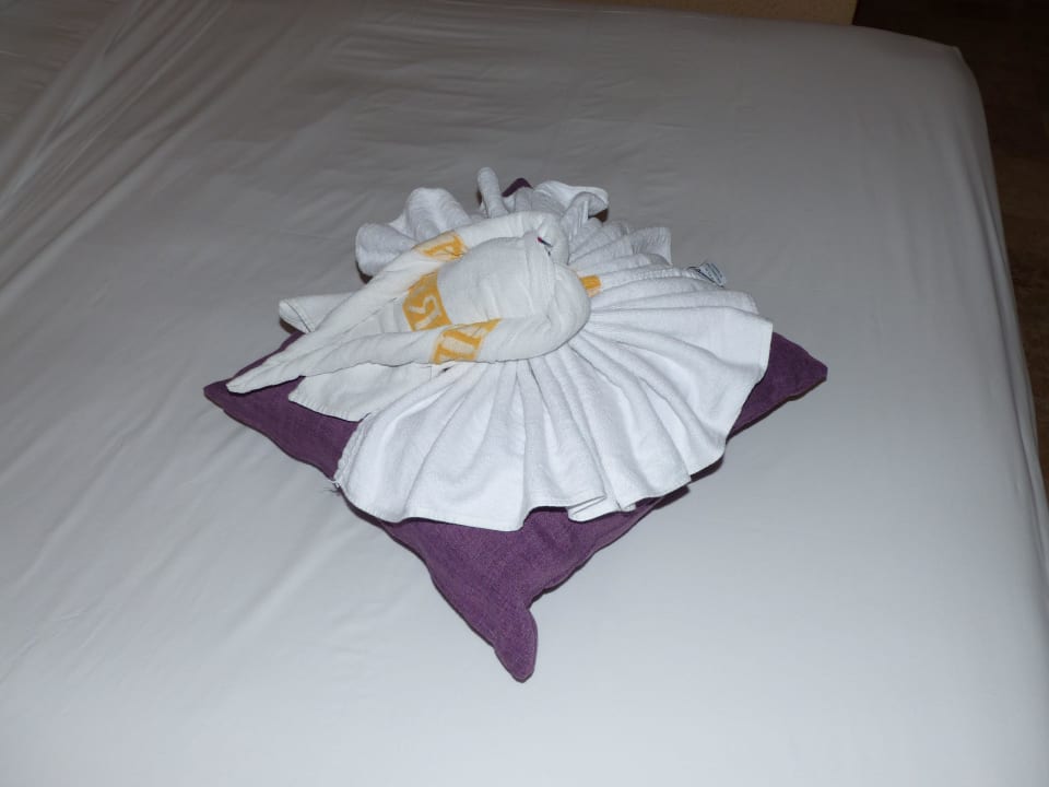 Begrüßung Iberostar Waves Tucan