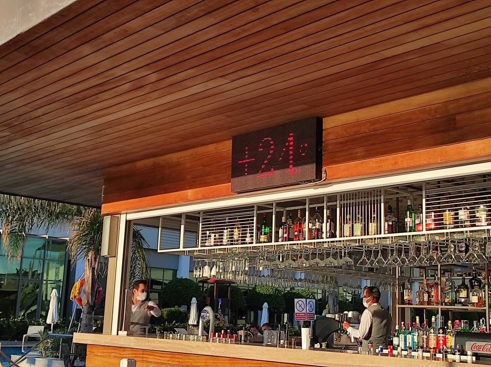 Gastro Acanthus Cennet Barut Collection
