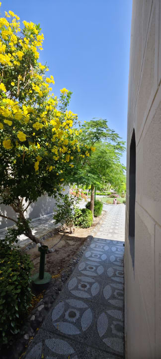 Ausblick Sentido Akassia Beach