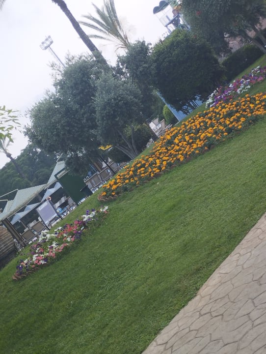 Gartenanlage Belconti Resort Hotel