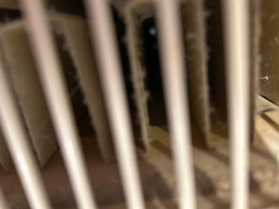 Zimmer Hotel zur Heideblüte