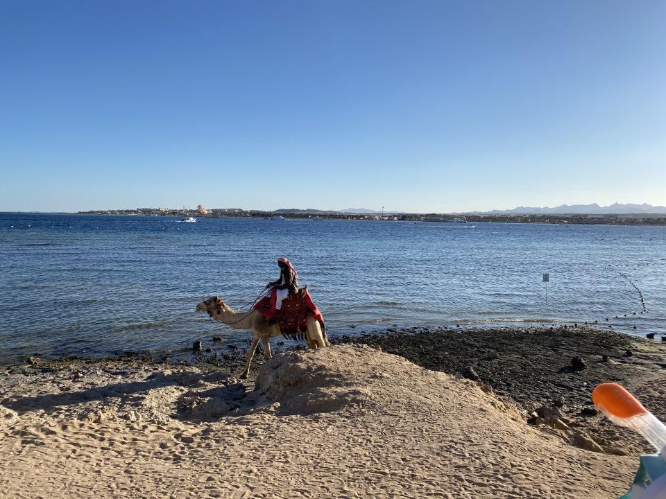 Strand Makadi Spa - Adults only