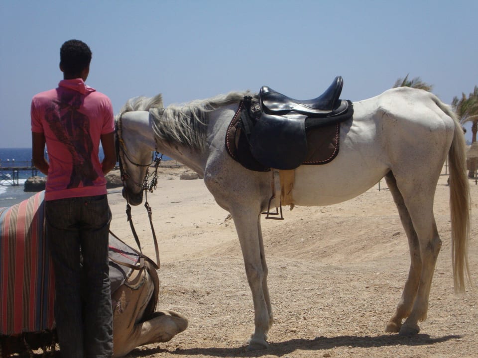 Atrakcje na plaży Coral Hills Resorts & SPA