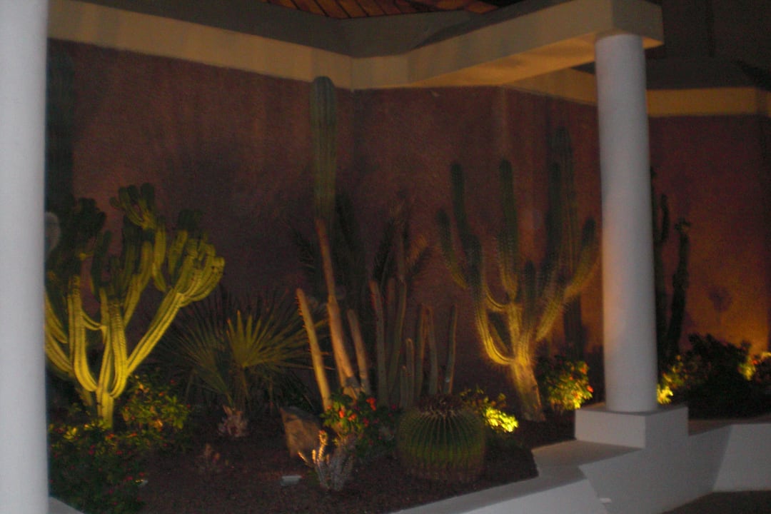 Beim Eingang Hotel Riu Palace Jandia