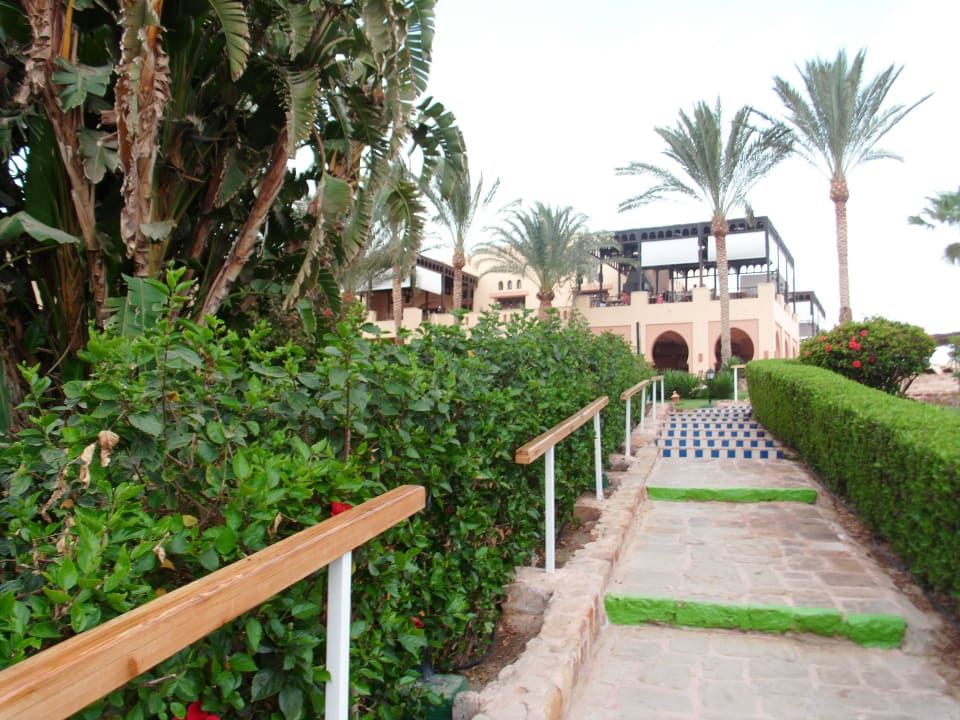 Weg vom Strand zum Hotel Steigenberger Coraya Beach - Adults only