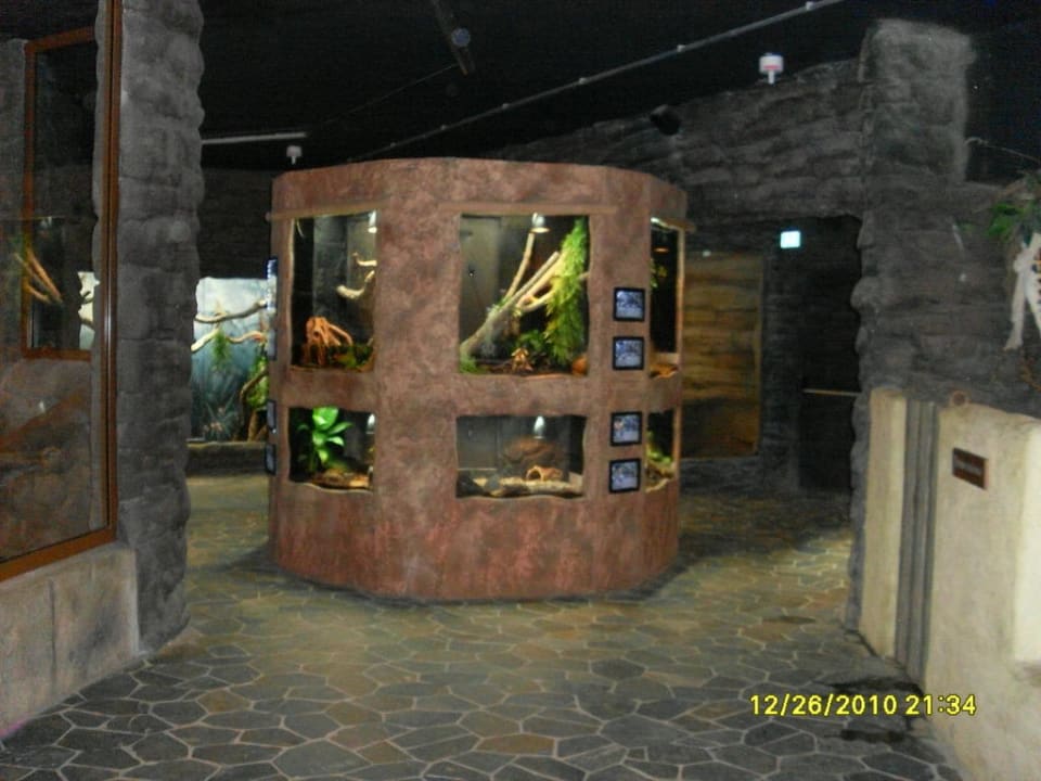 Dschungelland Ferienwohnungen Ferienpark Weissenhäuser Strand