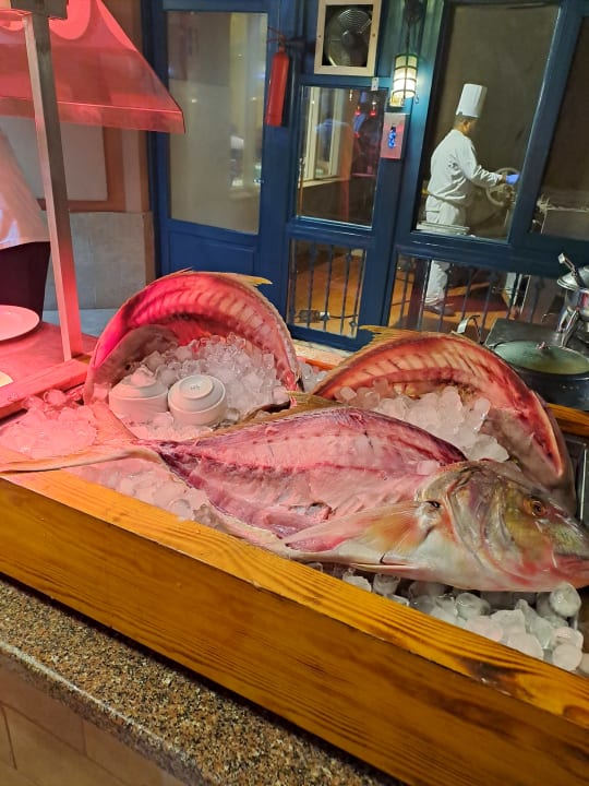 Gastro Club Paradisio El Gouna, Red Sea