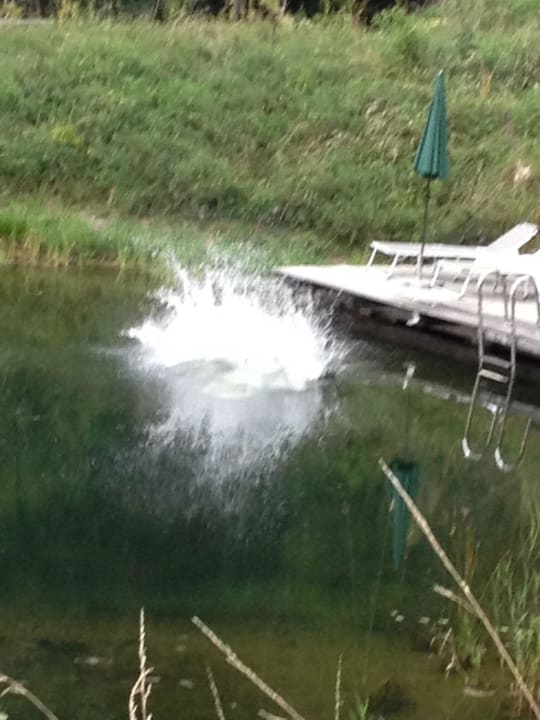 Bienenalm LUXGUT - OLIVIA