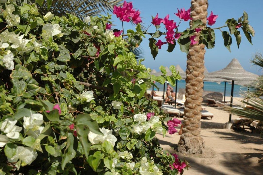 Przy plaży Brayka Bay Resort