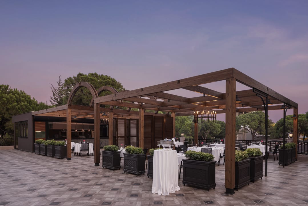 Gastro Papillon Ayscha