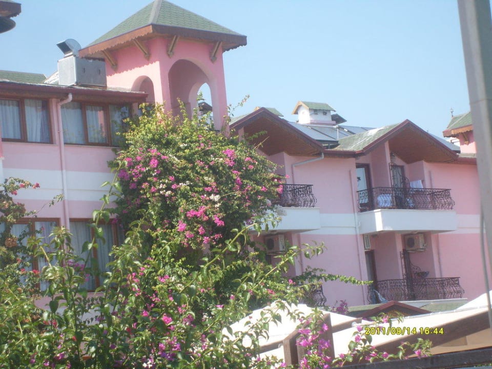 Hotel Sea Gull/Seagull Hotel Sea Gull/Seagull