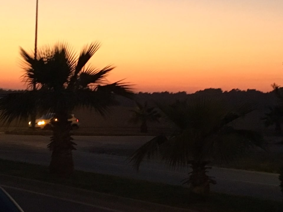 Ausblick Seashell Vega