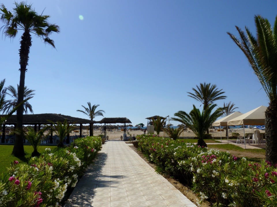 Droga na plażę. AQI Venus Beach