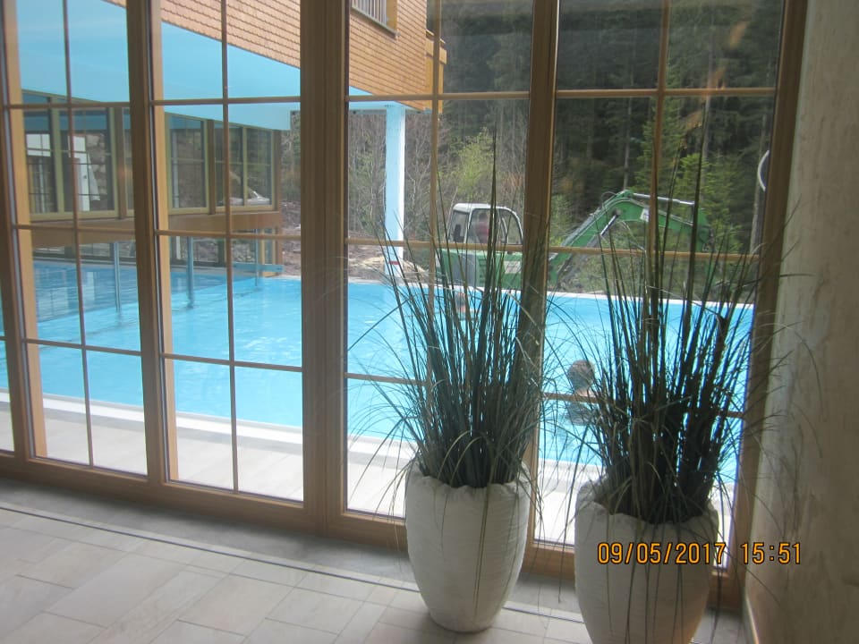 Pool Wellnesshotel Forsthaus Auerhahn